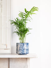 files/IndoorPlants_2-JamieShots20.11.2023-114.jpg
